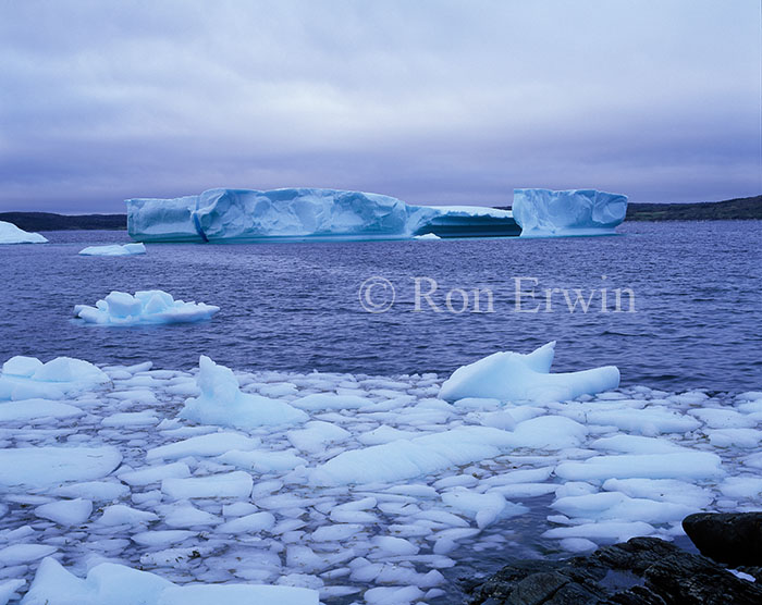 Iceberg Alley, Newfoundland and Labrador © Ron Erwin