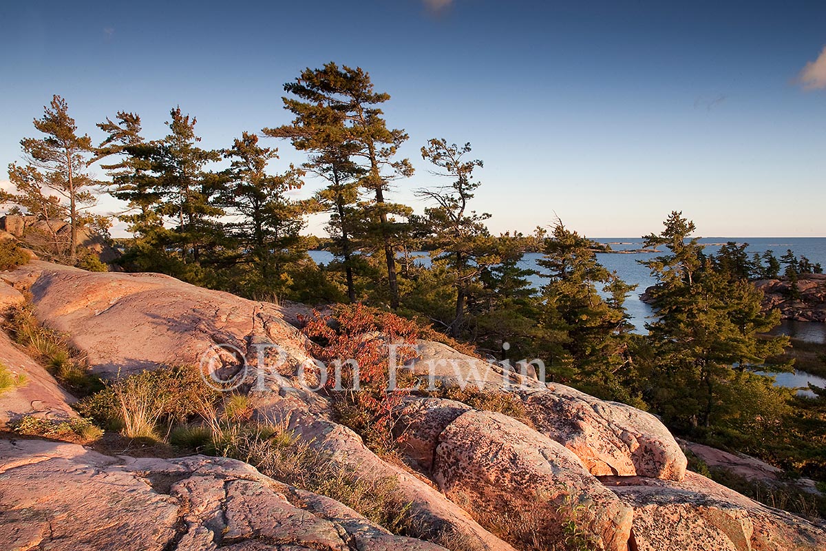 Georgian Bay Coast