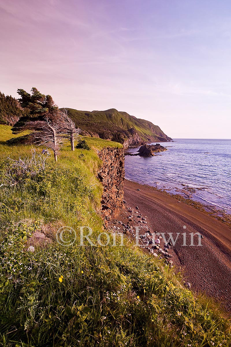 Green Gardens, Grose Morne, NL