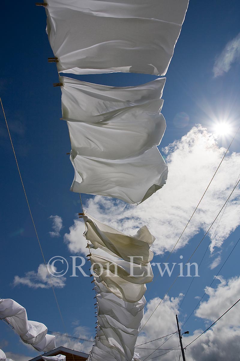 Drying Sheets