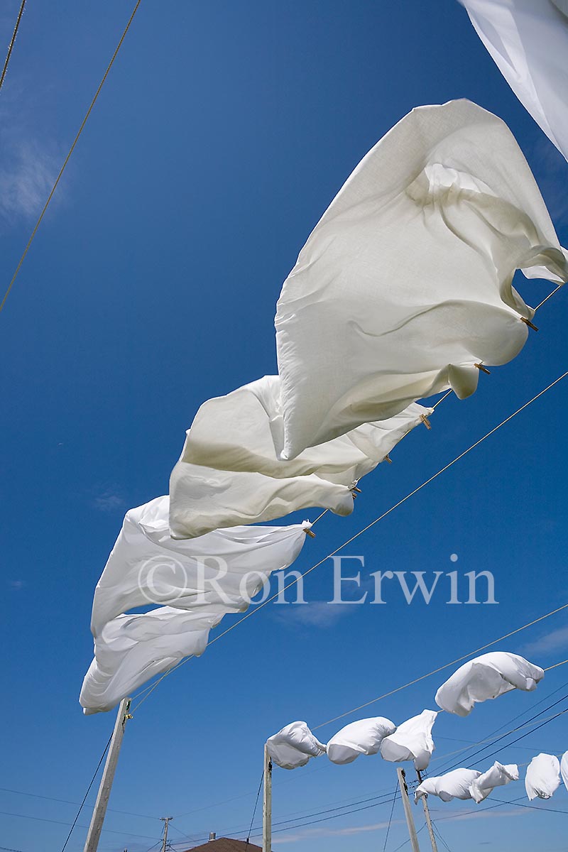 Drying Sheets