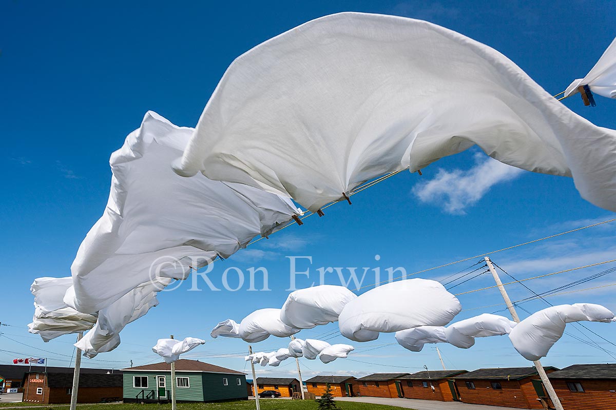 Drying Sheets