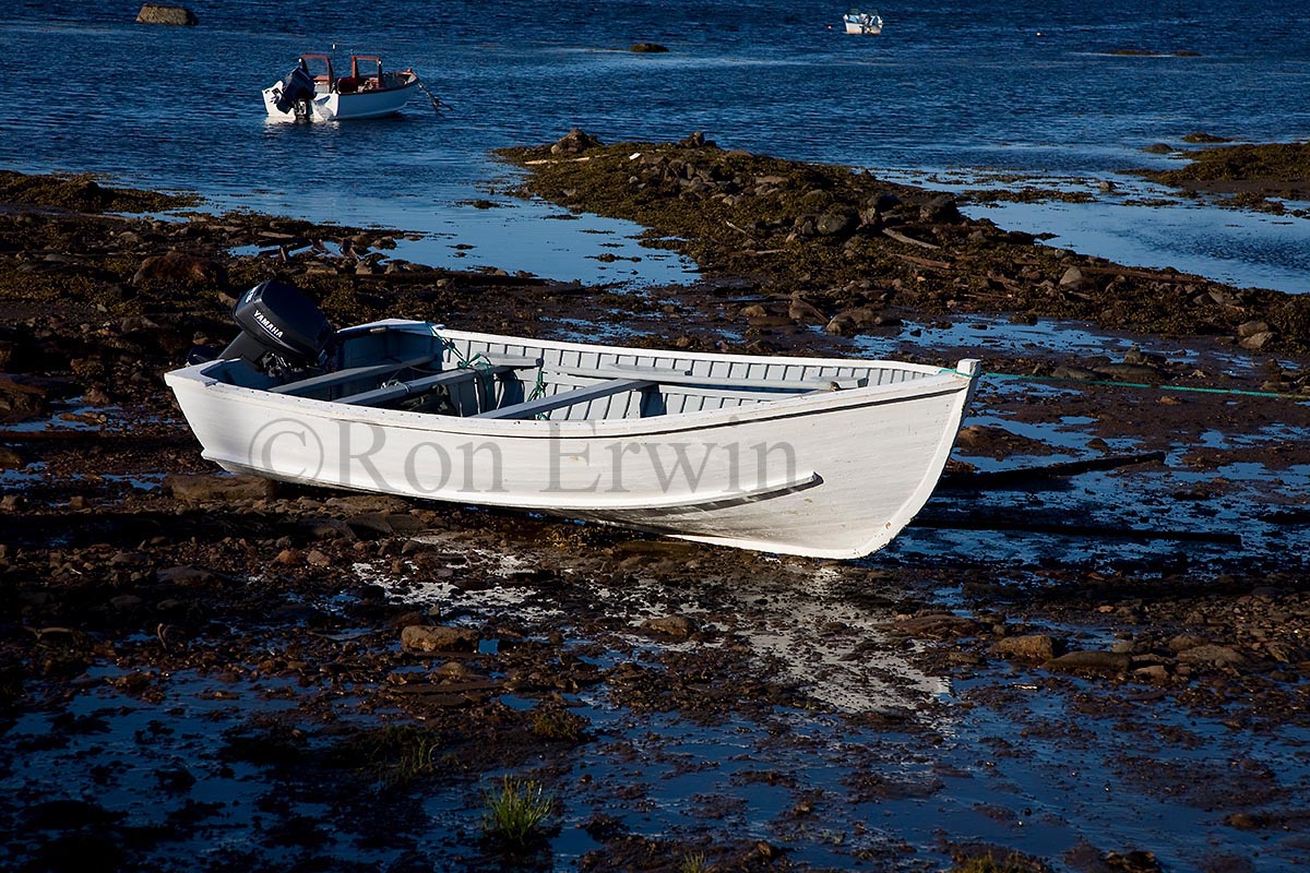 Labrador Boat