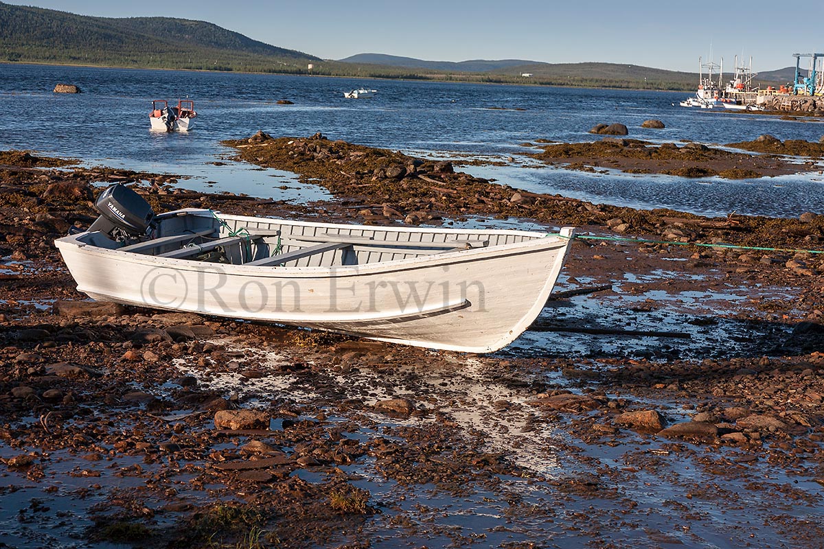 Labrador Boat