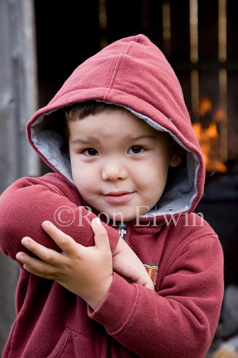 Labrador Metis Boy