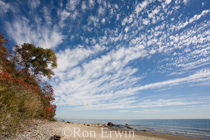 Bluffers Park