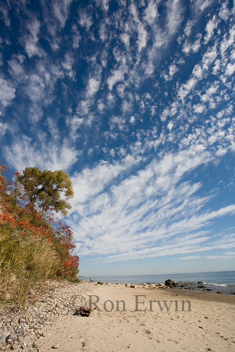 Bluffers Park