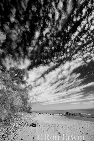 Bluffers Park