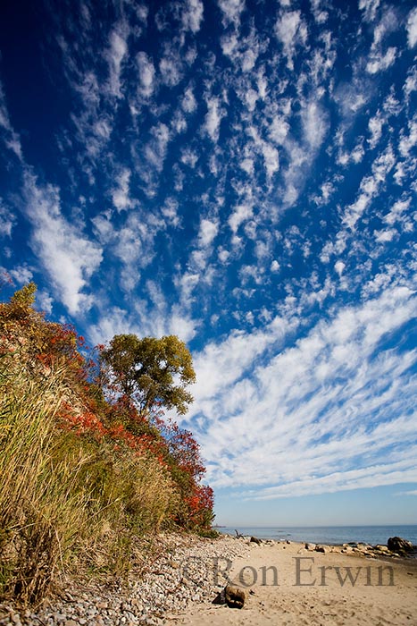 Scarborough Bluffs 