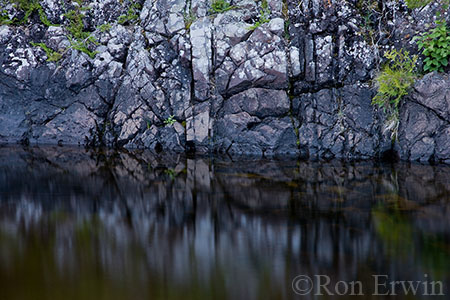 Warp Bay Reflections