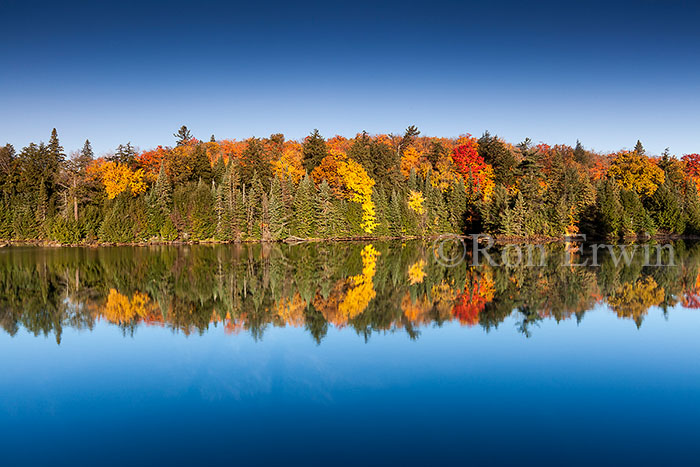 Smoke Creek in Autumn, ON