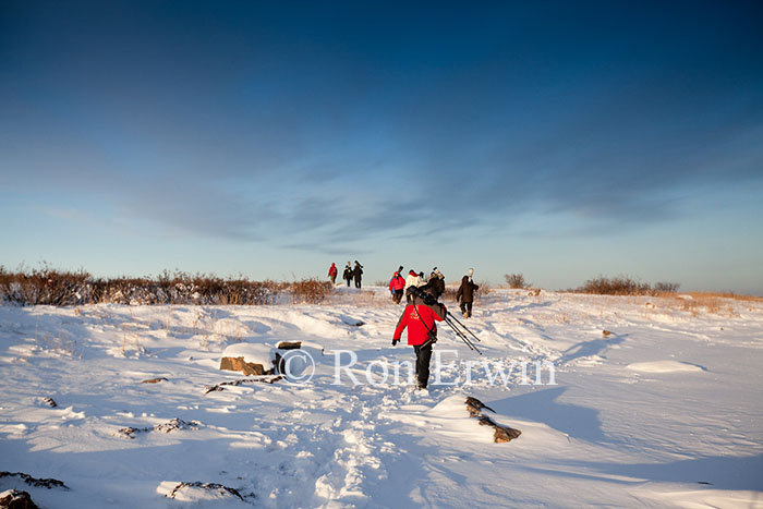 Photographers at Hudson Bay