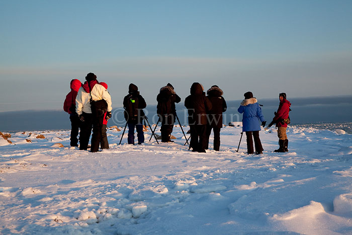 Photographers at Hudson Bay