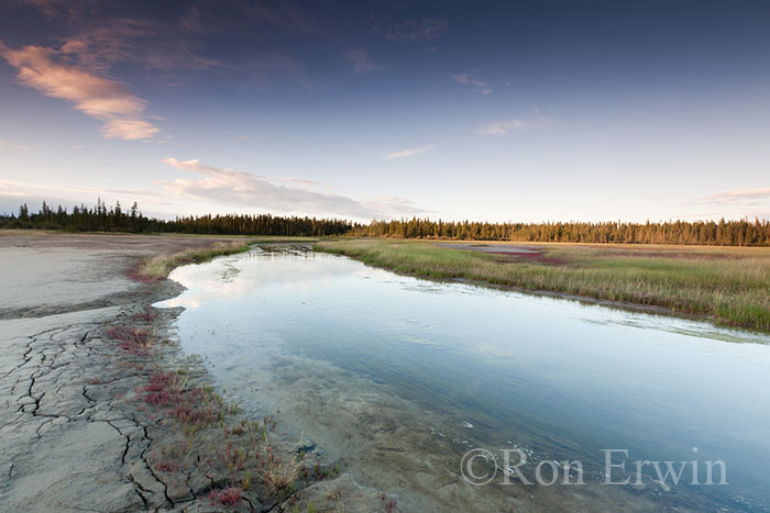 Salt Plains, Wood Buffalo National Park