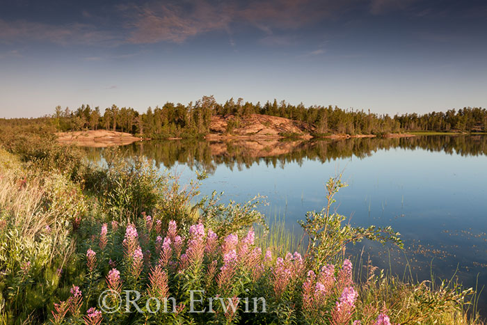 Fiddlers Lake, NWT