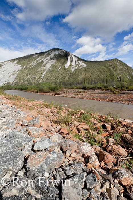 Engineer Creek Yukon