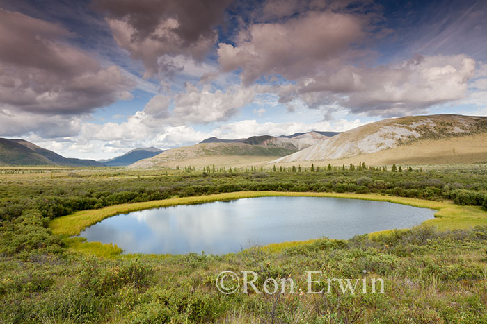 Along the Dempster Highway