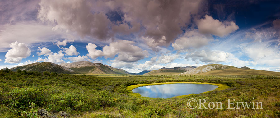 Along the Dempster Highway