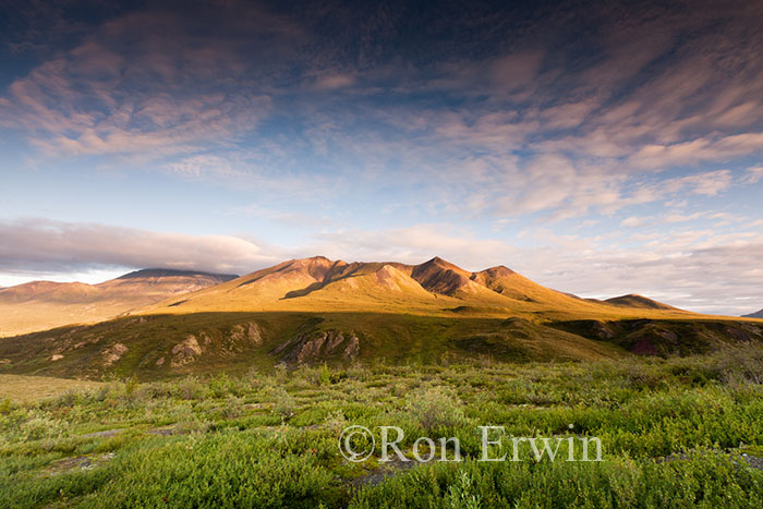 Tombstone Territorial Park