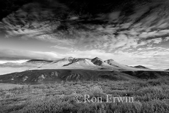 Tombstone Territorial Park