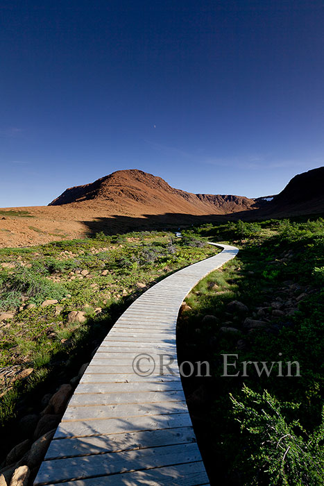 The Tablelands Boardwalk