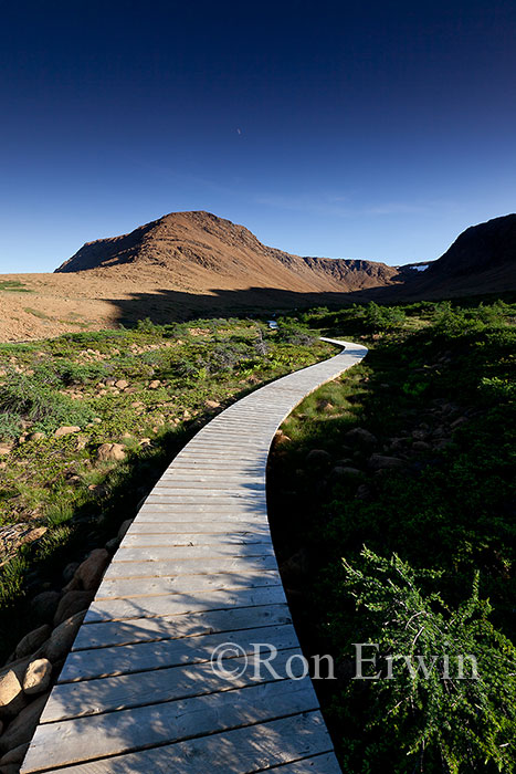 The Tablelands Boardwalk