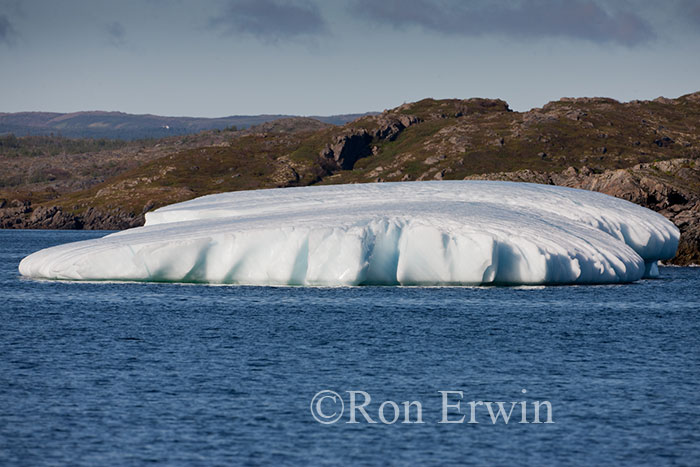 Iceberg Alley