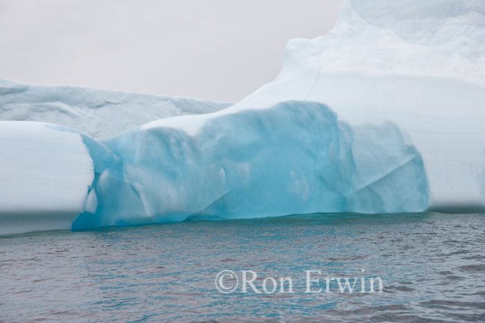 Iceberg Alley