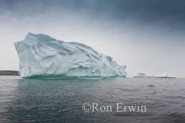 Iceberg Alley