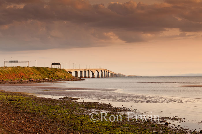 The Confederation Bridge