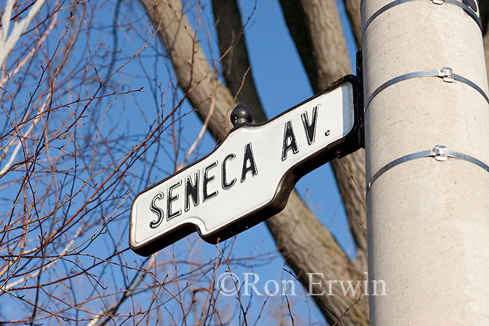 Seneca Avenue Sign