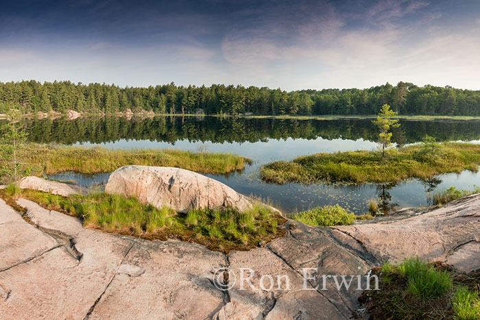 Cranberry Bog, Killarney