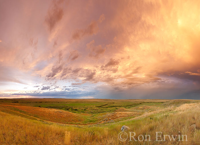 Grasslands National Park, SK