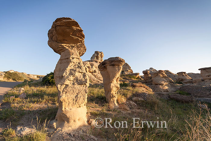 Hoodoos in Alberta Badlands