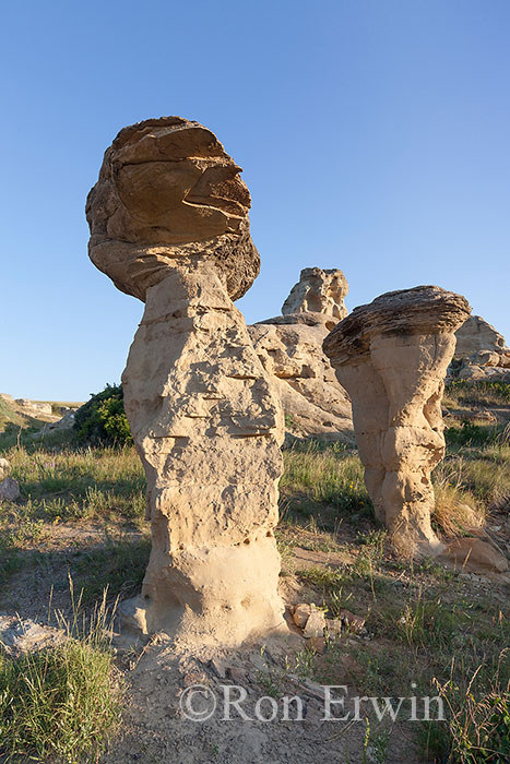 Hoodoos in Alberta Badlands