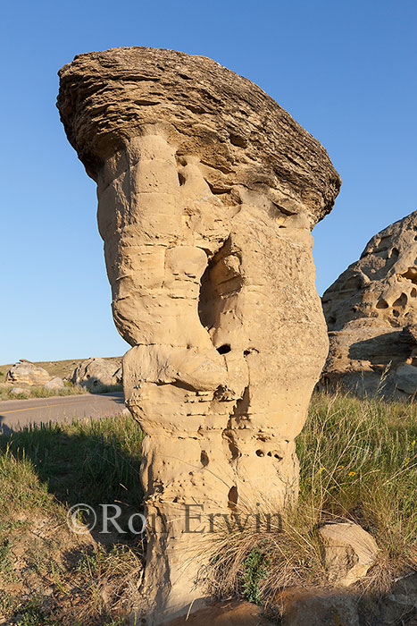 Hoodoos in Alberta Badlands