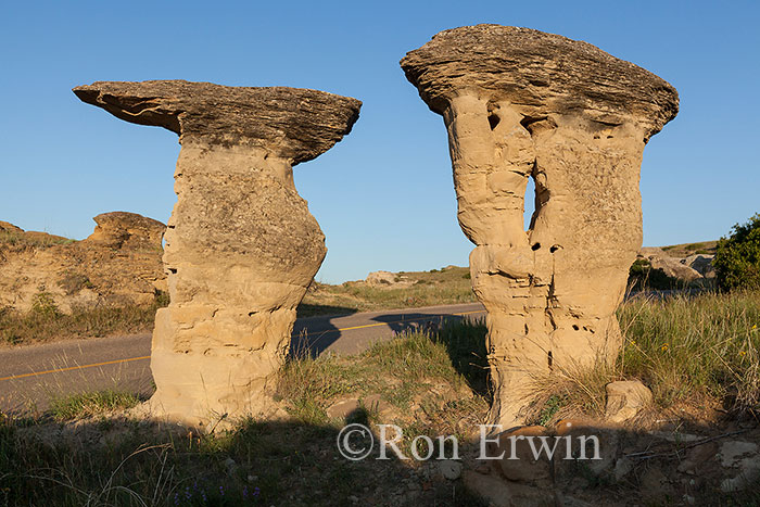 Hoodoos in Alberta Badlands