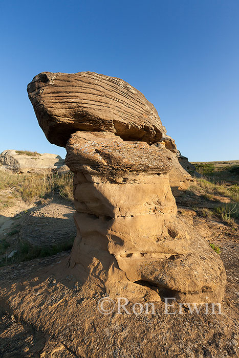 Hoodoos in Alberta Badlands