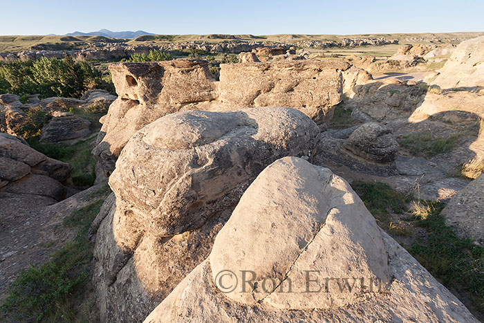 Hoodoos in Alberta Badlands