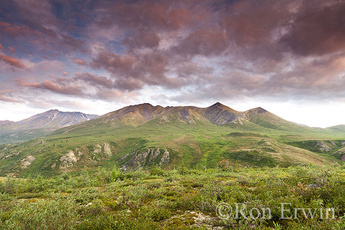 Tombstone Territorial Park, YT