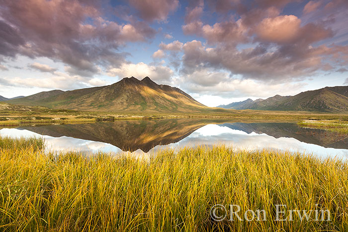 Tombstone Territorial Park, YT