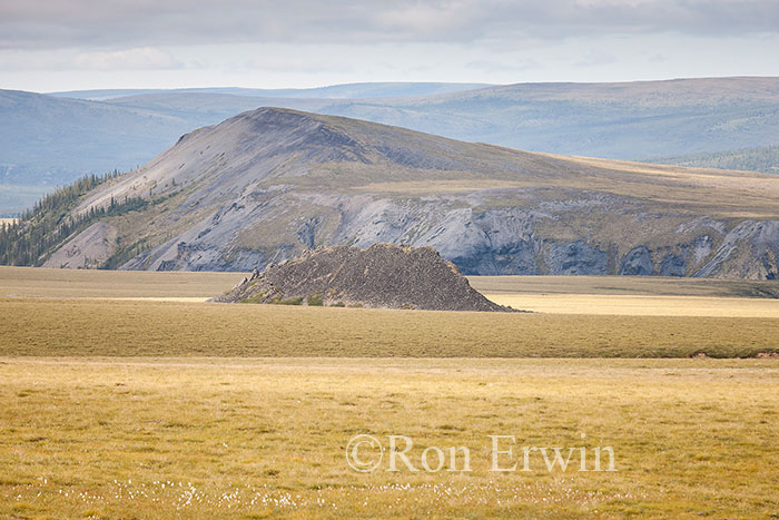 Pingo, Yukon