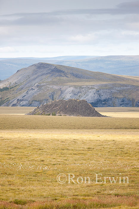 Pingo, Yukon