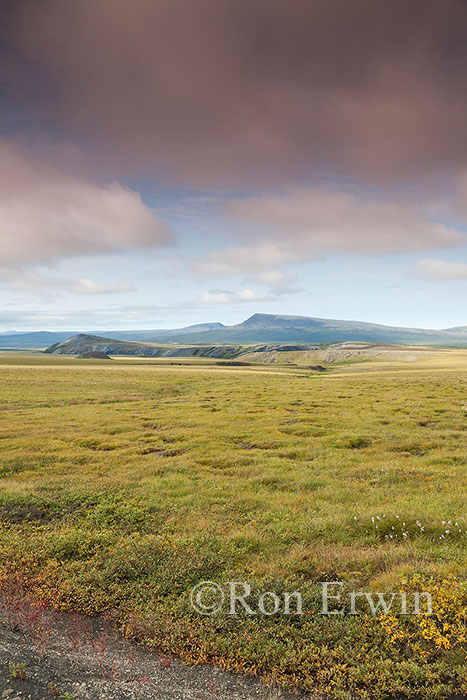 Pingo, Yukon