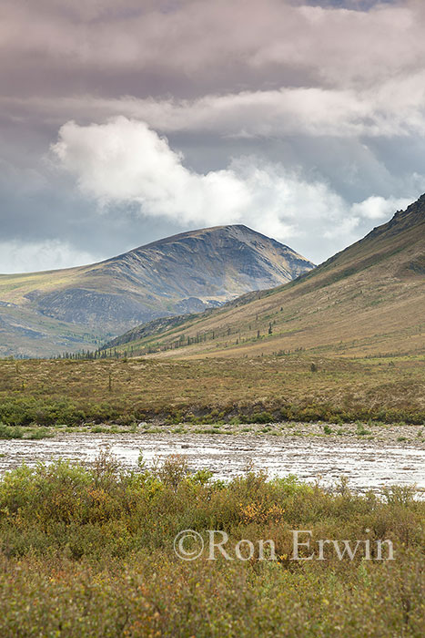 North Klondike River, YT