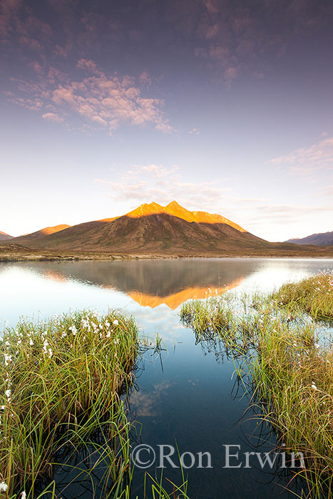 Blackstone Uplands, Yukon