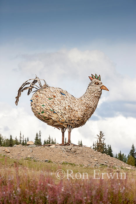 Chicken Sculpture