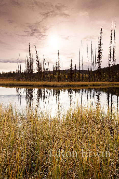 Alaska Sunset