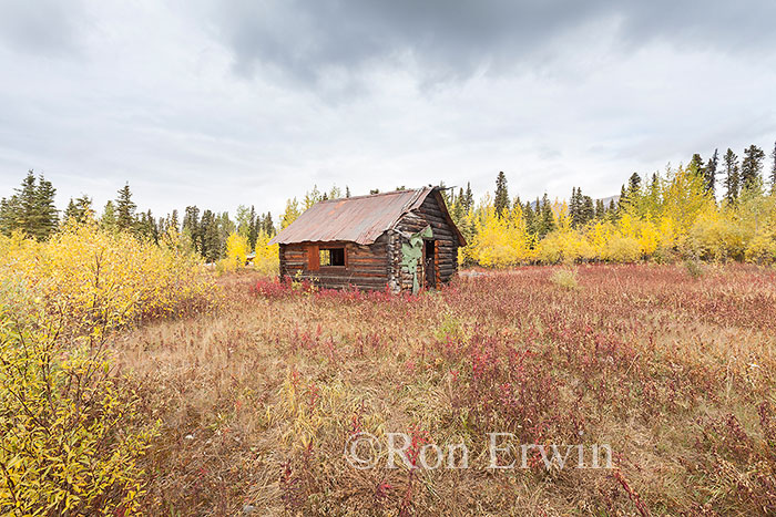 Old Cabin, Alaska