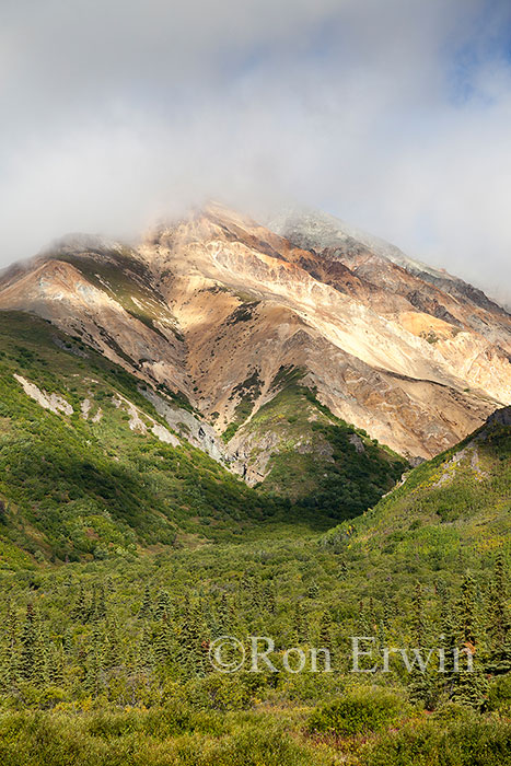 Sheep Mountain, Alaska